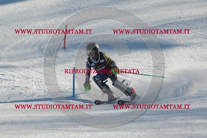 MAT_4532.JPG