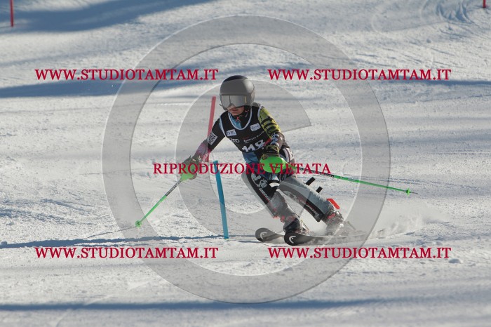 MAT_4534.JPG