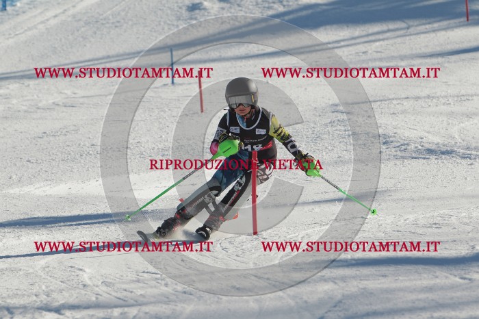 MAT_4535.JPG