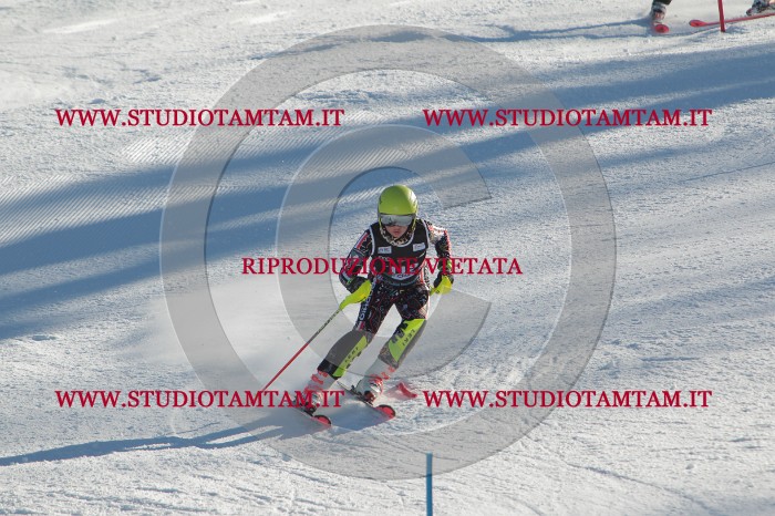 MAT_4541.JPG