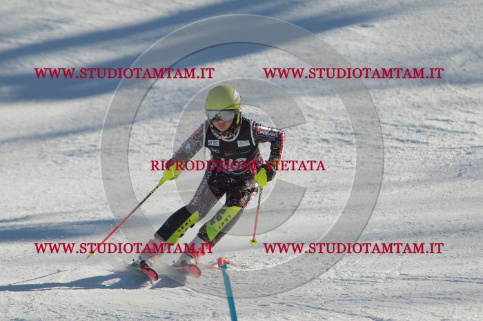 MAT_4543.JPG