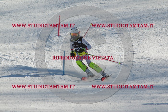 MAT_4561.JPG