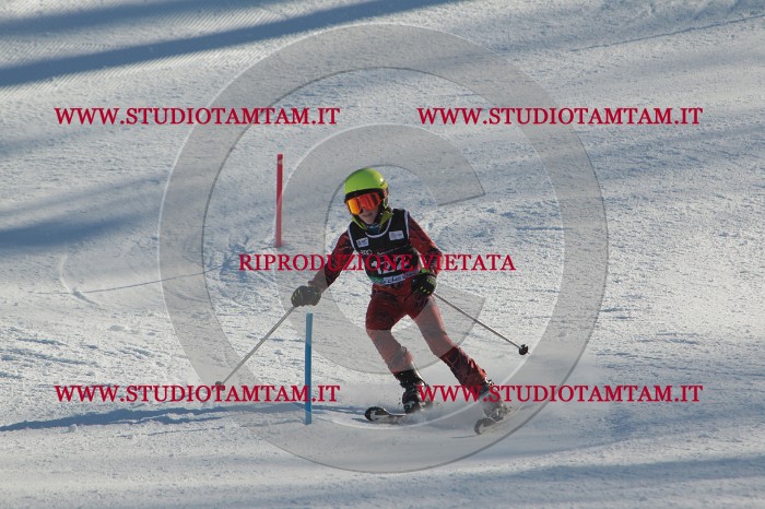 MAT_4570.JPG