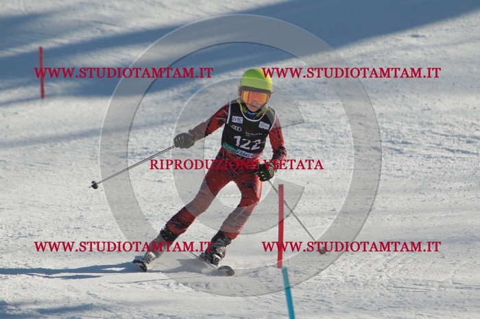 MAT_4571.JPG