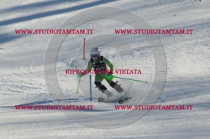 MAT_4599.JPG