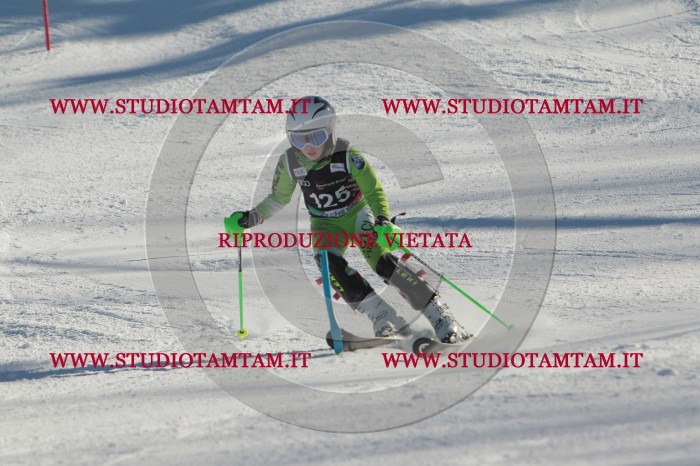 MAT_4601.JPG