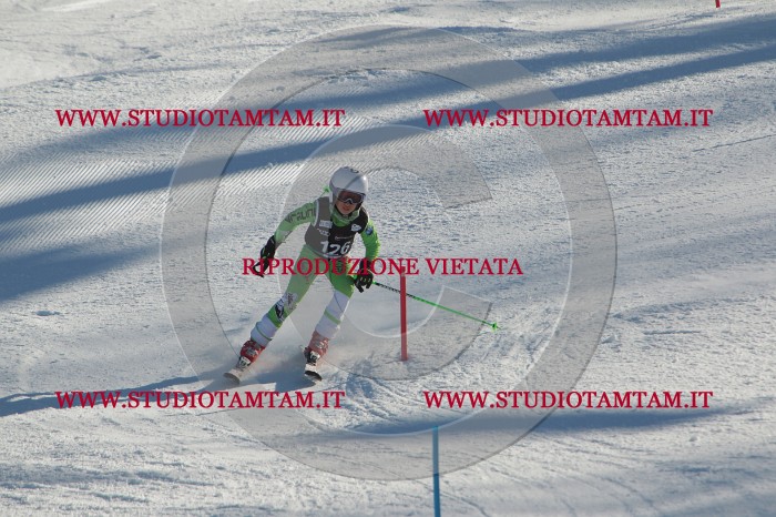 MAT_4606.JPG