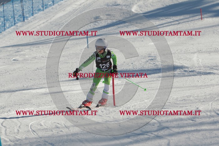 MAT_4610.JPG