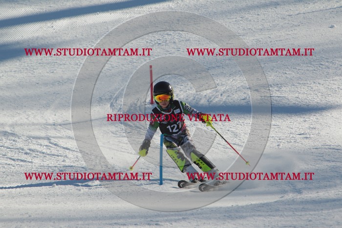 MAT_4615.JPG
