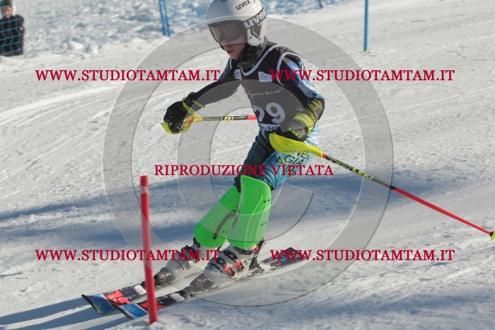 MAT_4638.JPG