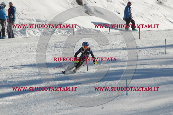 MAT_4641.JPG