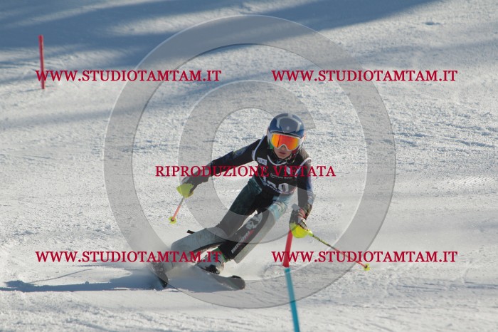 MAT_4645.JPG
