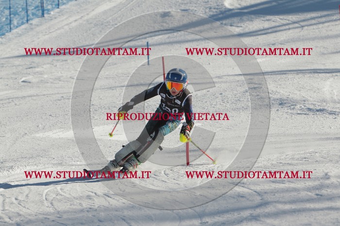 MAT_4647.JPG