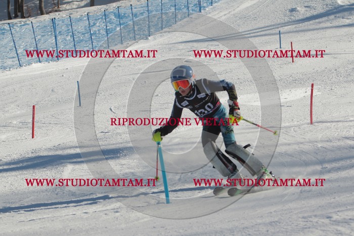 MAT_4648.JPG