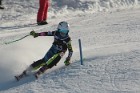 MAT_3537