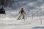 MAT_3684