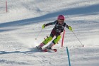 MAT_3924