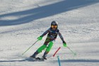 MAT_4469
