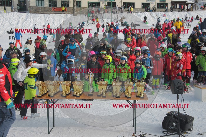 MAT_2913.JPG