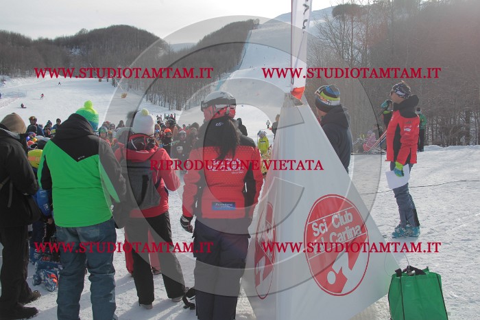 MAT_2915.JPG