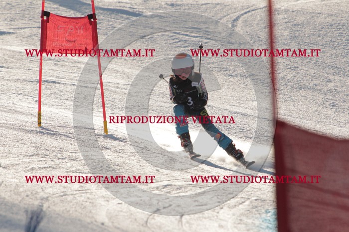MAT_1347.JPG