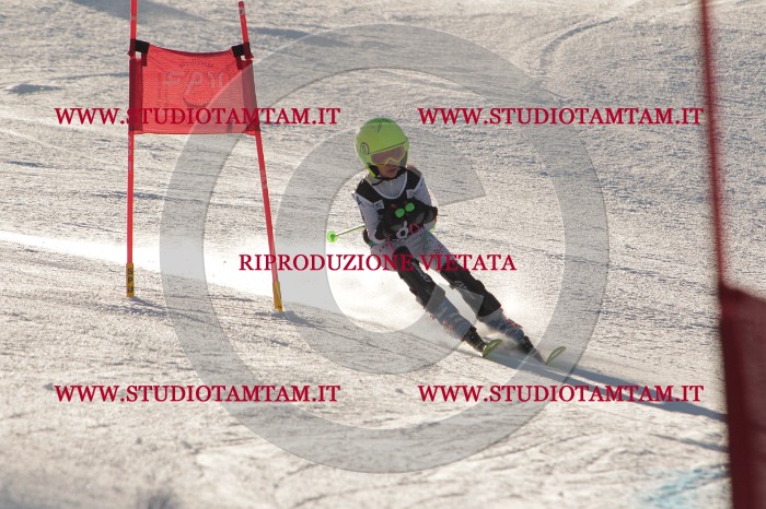 MAT_1404.JPG