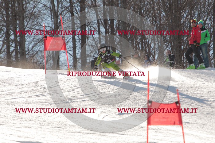 MAT_1457.JPG