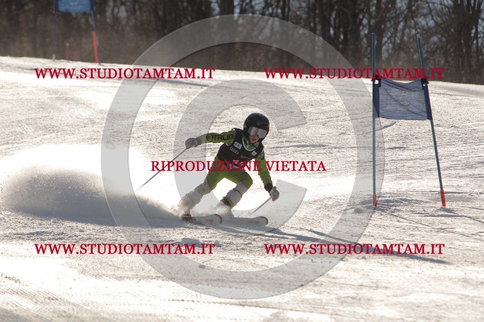 MAT_1460.JPG
