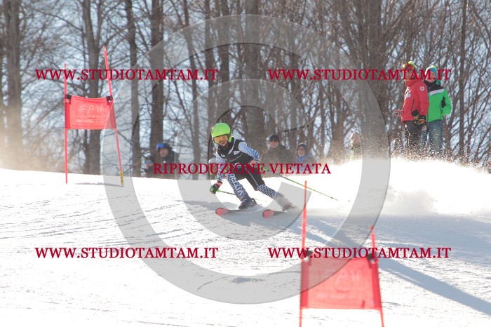 MAT_1469.JPG