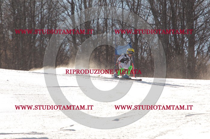 MAT_1479.JPG