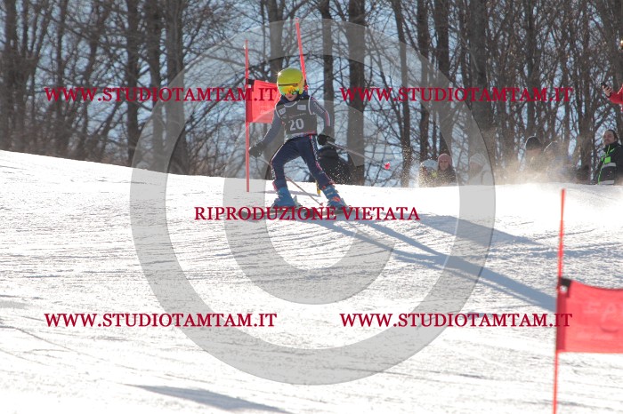 MAT_1511.JPG