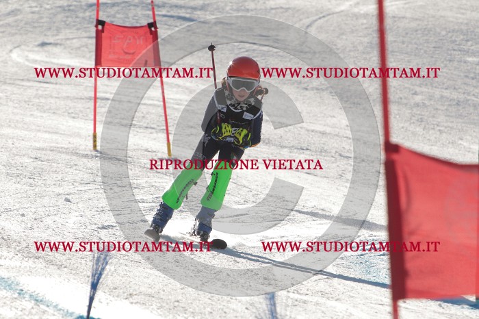 MAT_1593.JPG