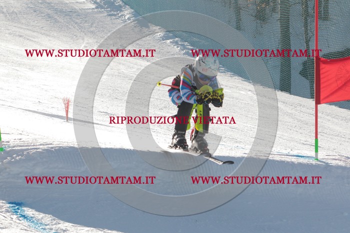 MAT_1674.JPG