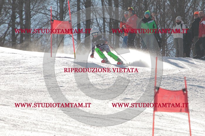 MAT_1772.JPG