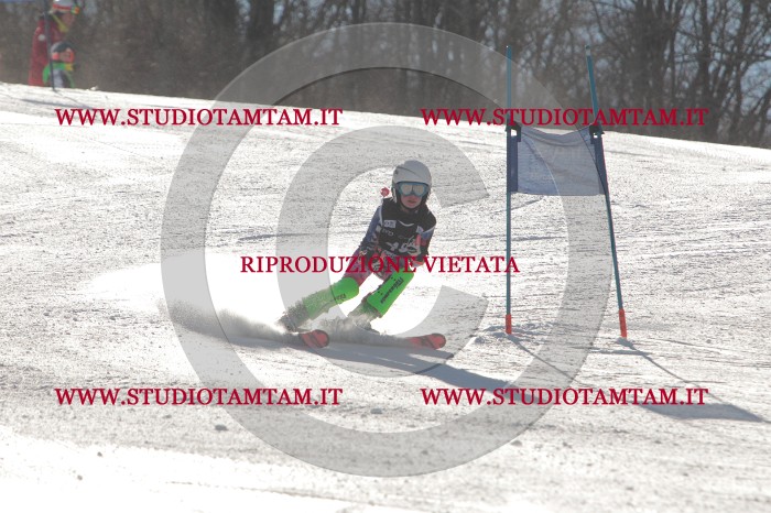 MAT_1775.JPG