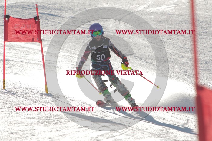 MAT_1802.JPG