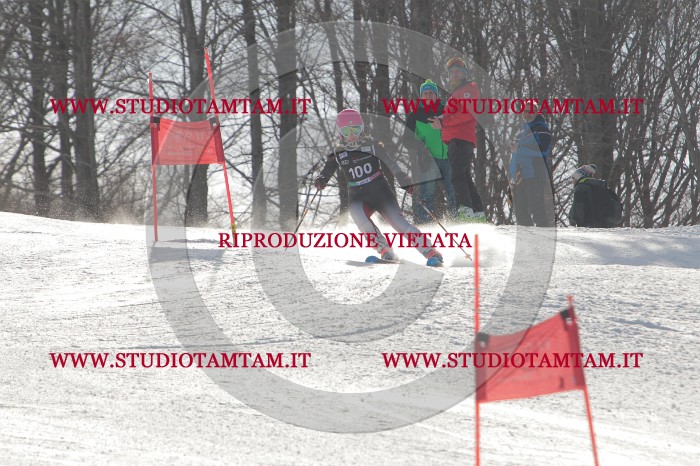 MAT_2355.JPG