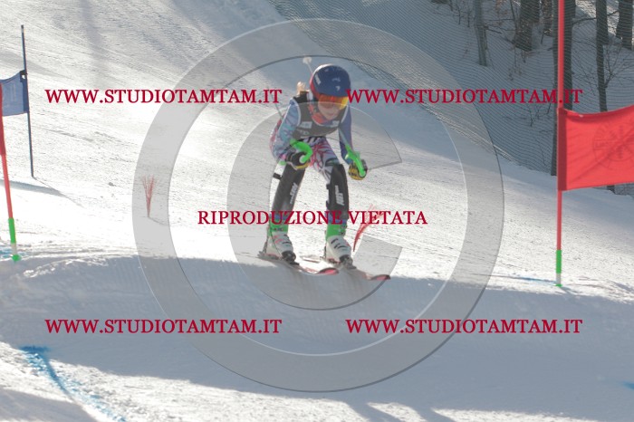 MAT_2371.JPG