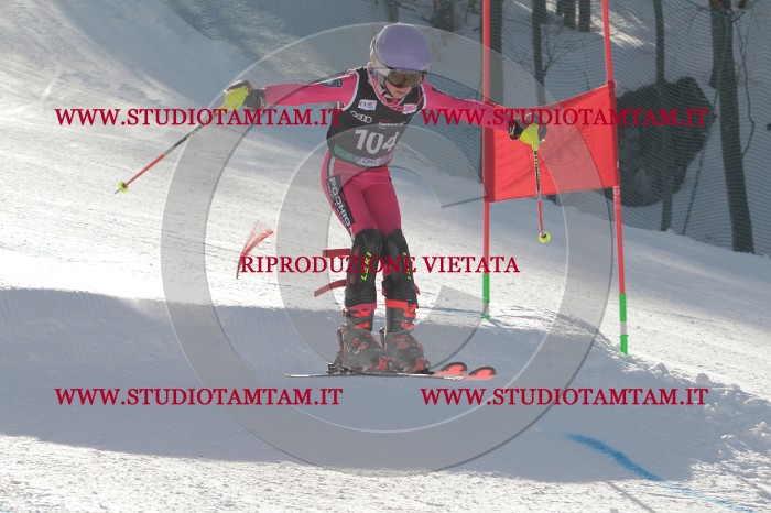 MAT_2402.JPG