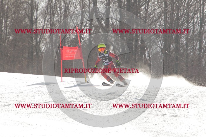 MAT_2480.JPG