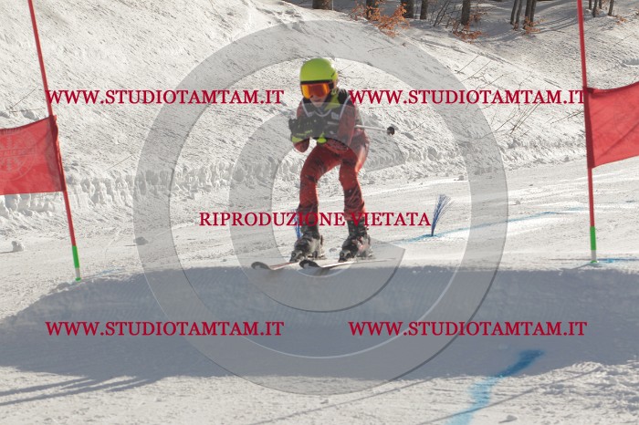 MAT_2487.JPG