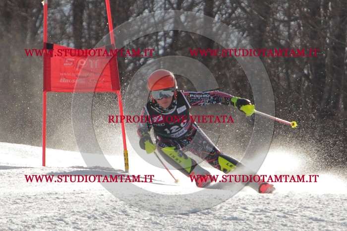 MAT_2619.jpg