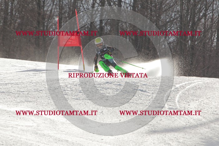 MAT_2632.JPG