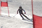 MAT_1561