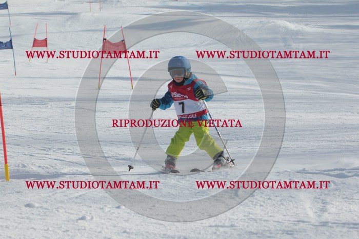 MAT_2711.JPG