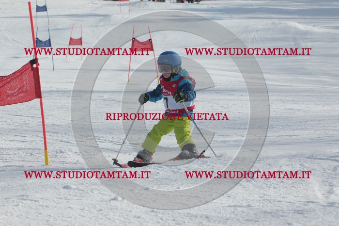 MAT_2712.JPG