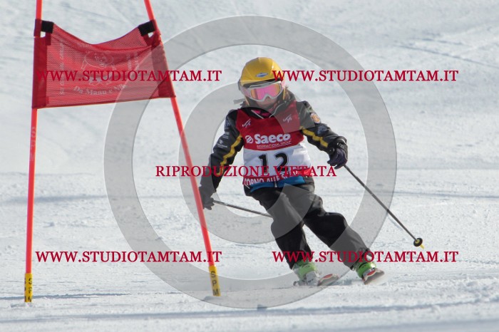MAT_2754.jpg