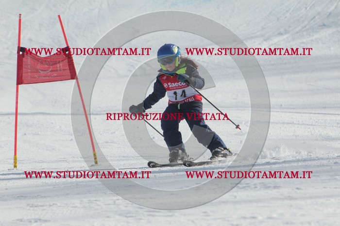 MAT_2788.JPG