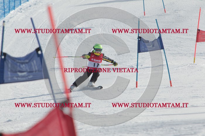 MAT_2822.JPG
