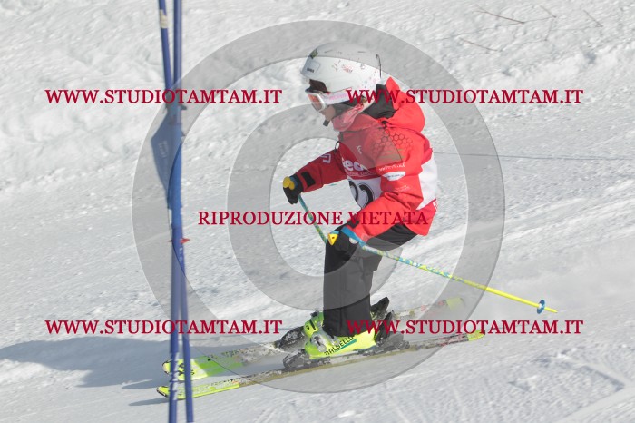 MAT_2898.JPG